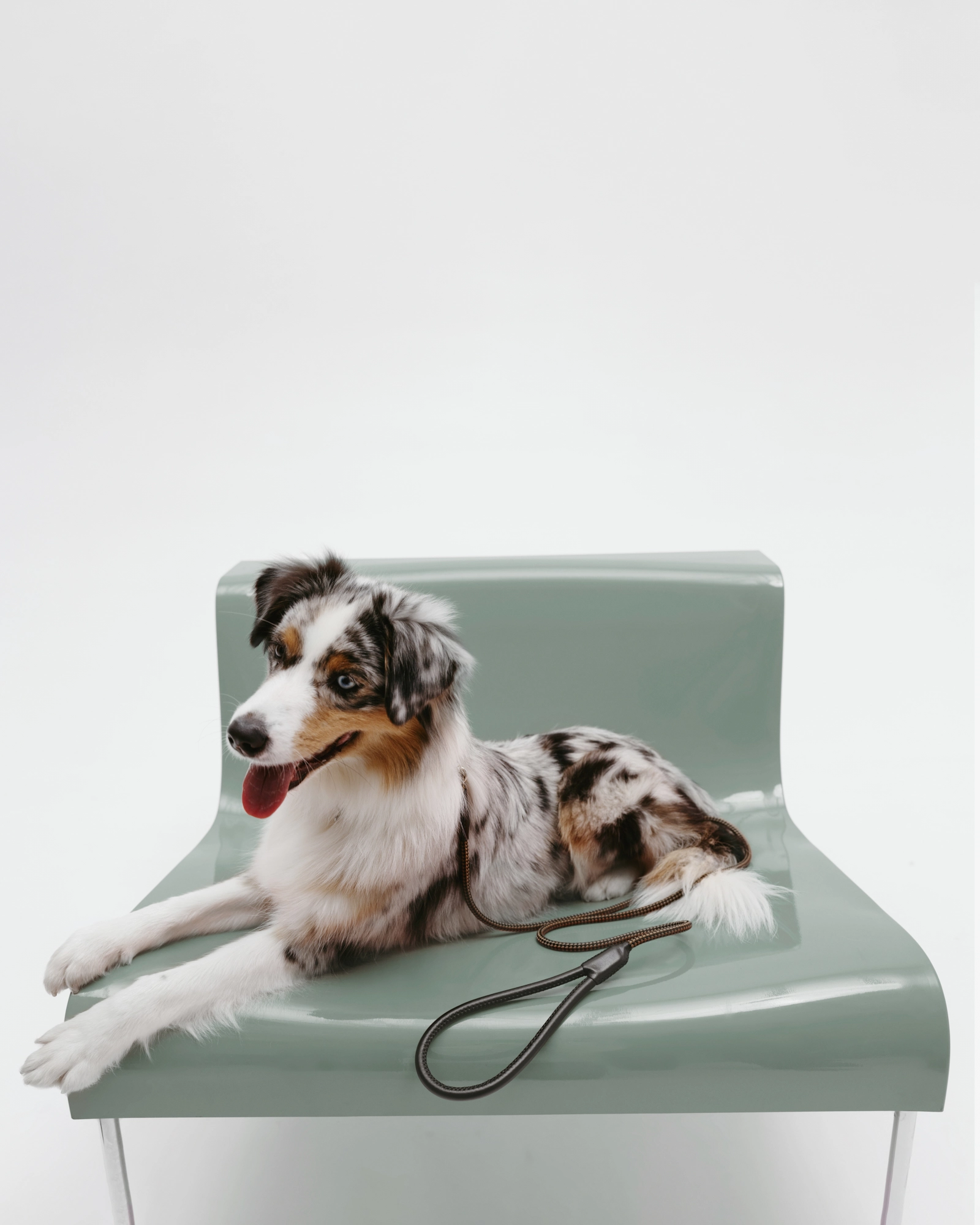 Перший pet-дроп PODYH