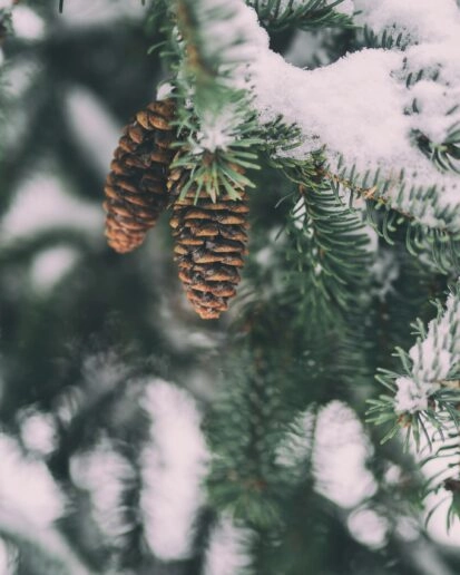 Магнітні бурі грудень 2025 року