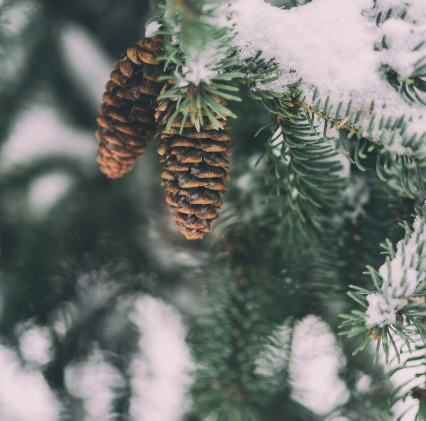 Магнітні бурі грудень 2025 року