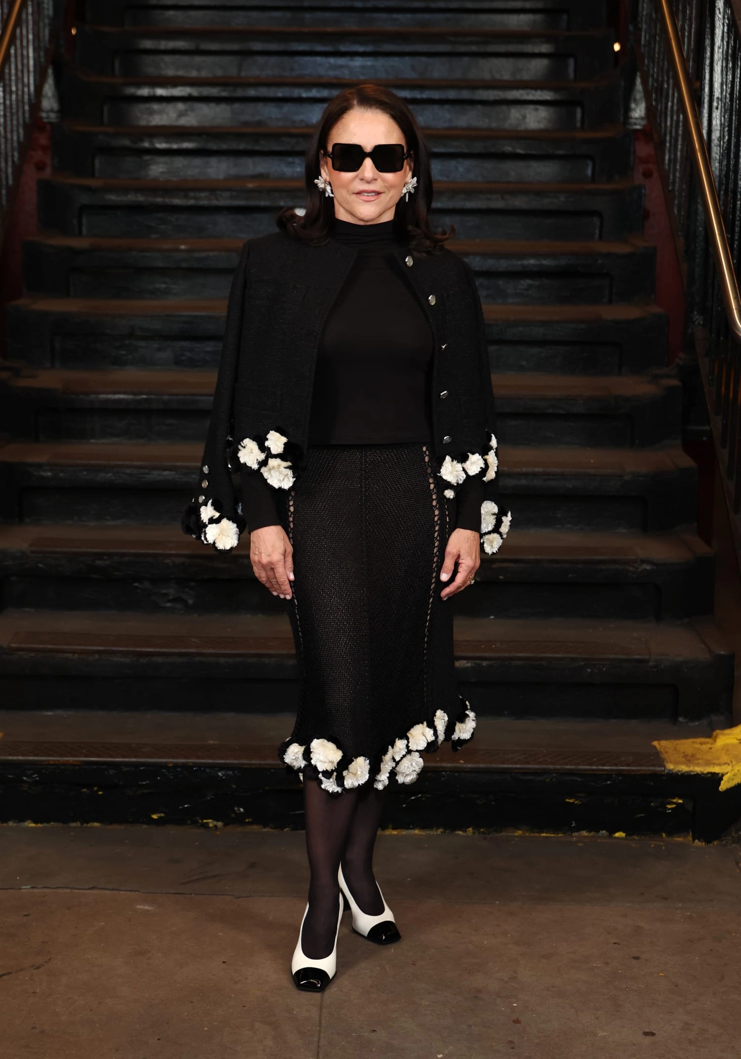 Джулія Луїс-Дрейфус