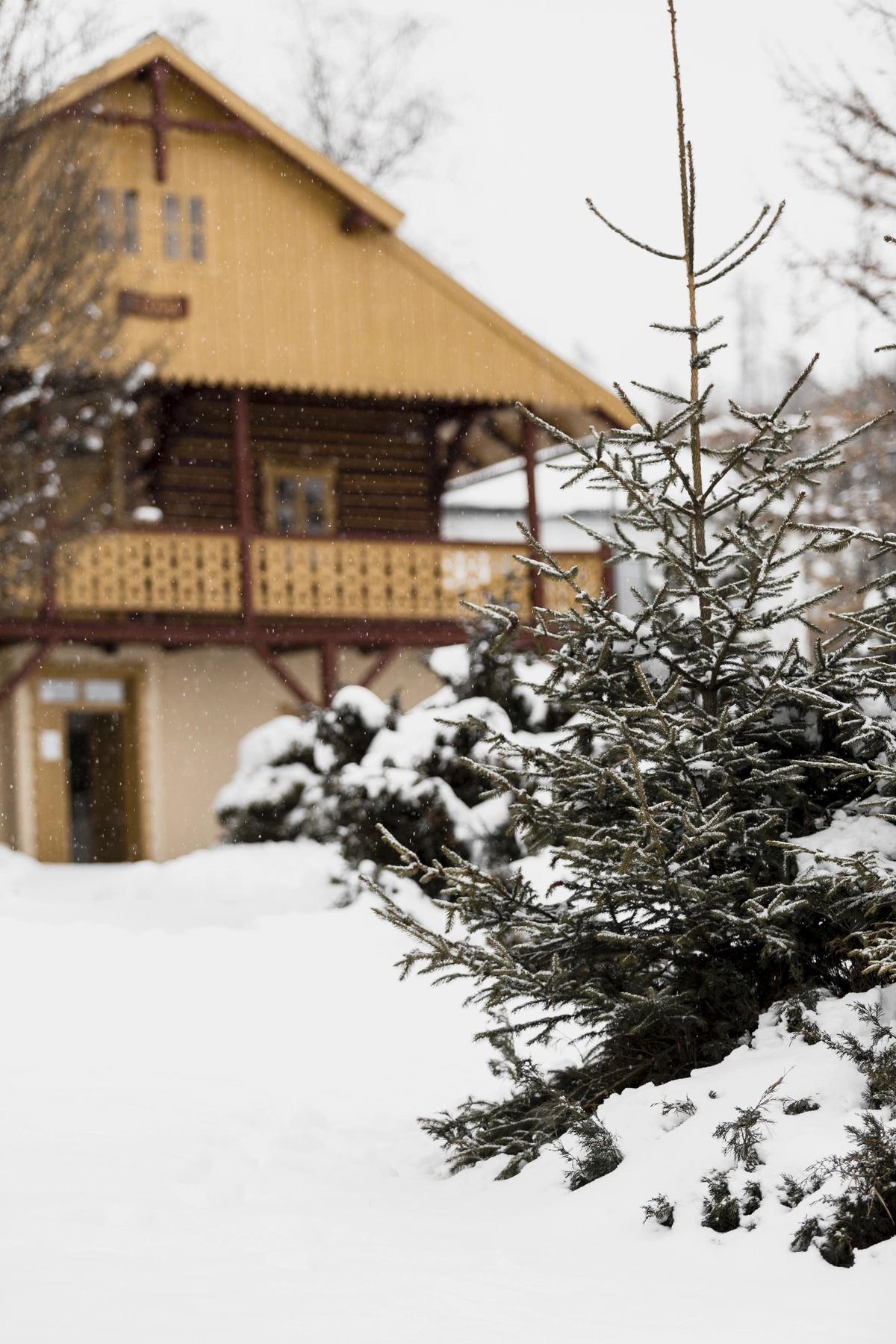 еко готель у Карпатах